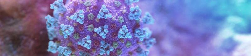 banniere SARS - Cov2